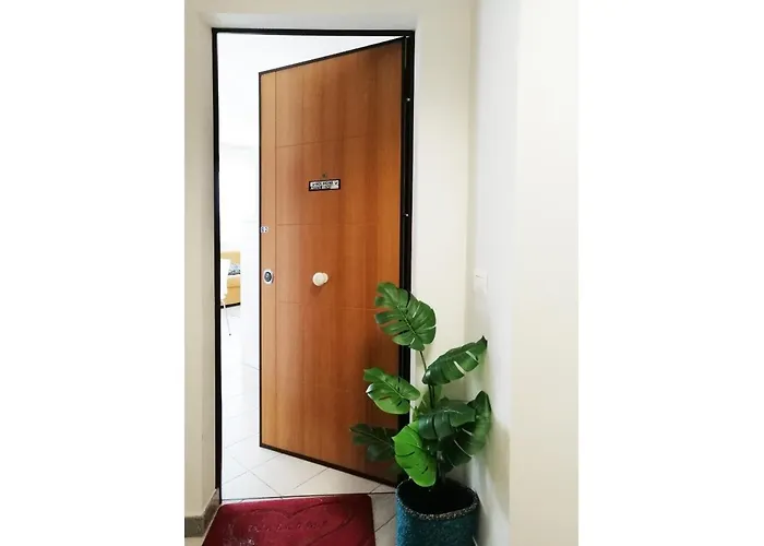 Holihome_chicky House Frn